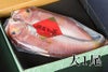 浜汐若狭甘鯛（アカアマダイ）大1尾