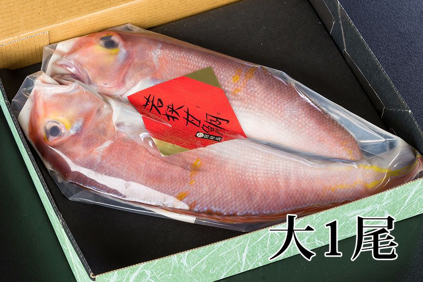 浜汐若狭甘鯛（アカアマダイ）大1尾